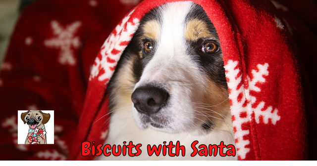 Rub a dub dub dog grooming and spa discount