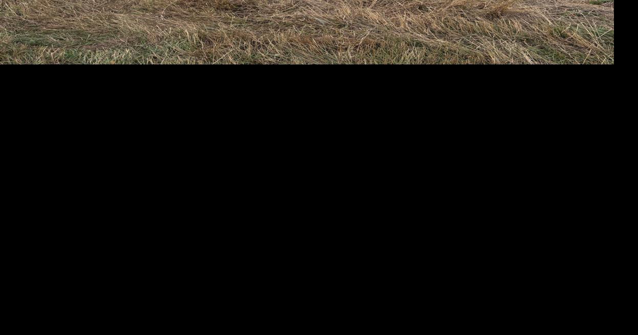 Crash on SR 8 in DeKalb County injures Indianapolis woman