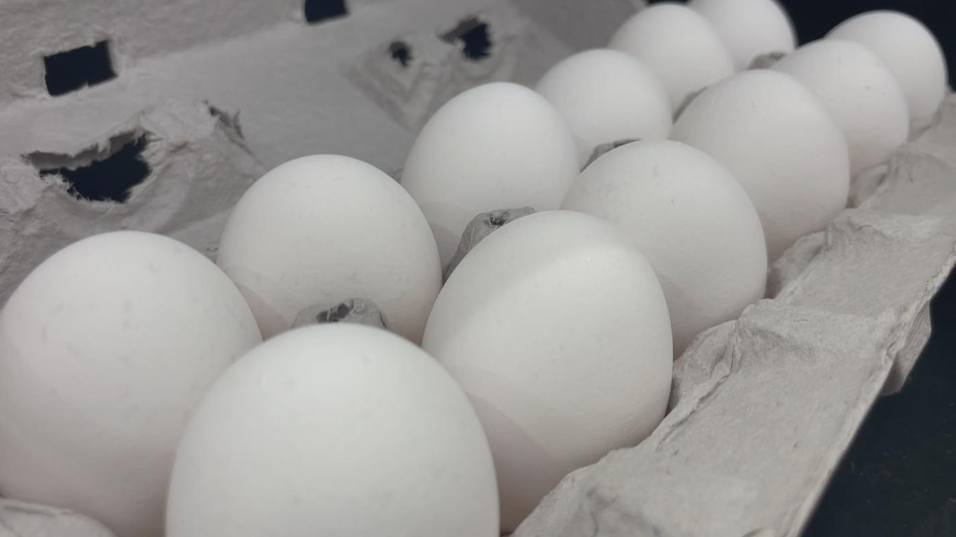 Egg prices continue to soar across country, News