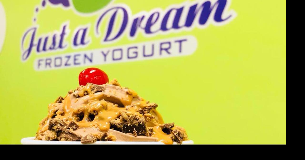 Just A Dream Frozen Yogurt shop in Forks Township to close Lehigh