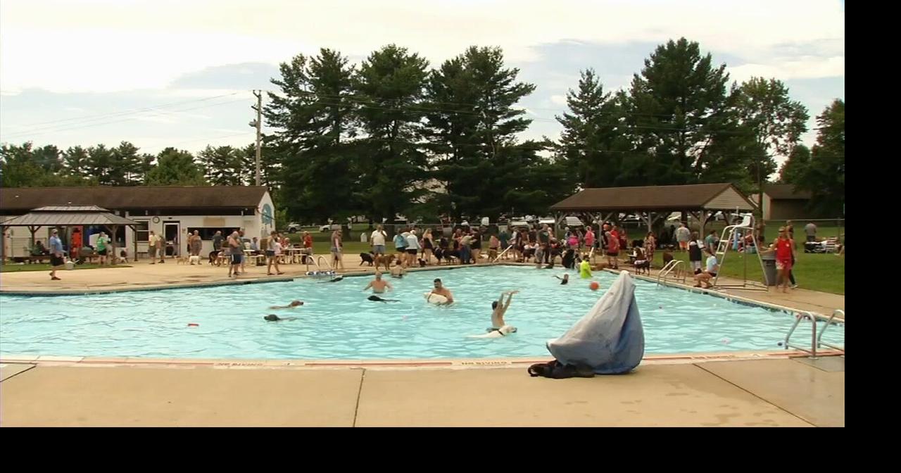 Bally Community Pool hosts annual dog swim