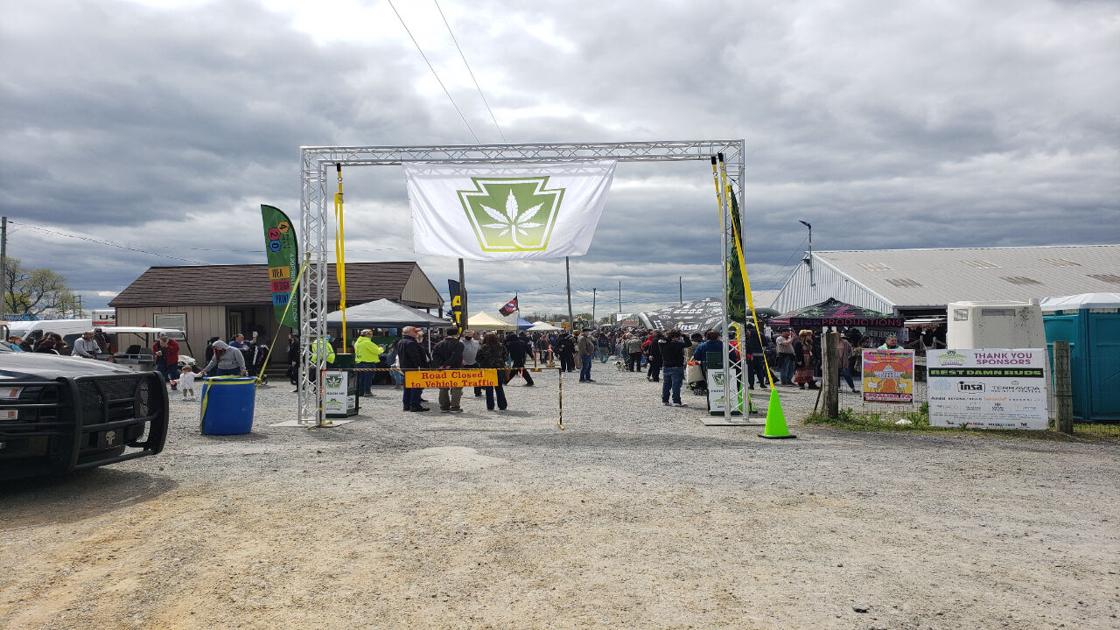 Cannabis Festival returns to Kutztown with thousands in attendance