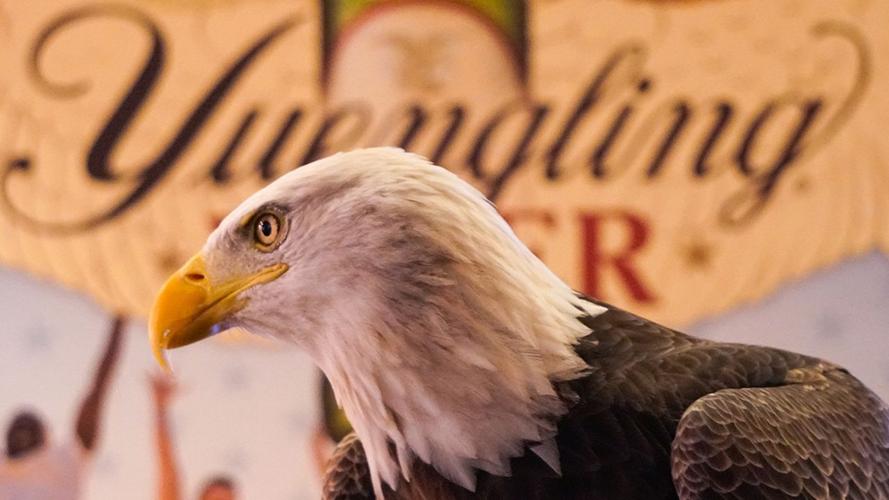 Yuengling, American Eagle Foundation expand partnership Poconos and