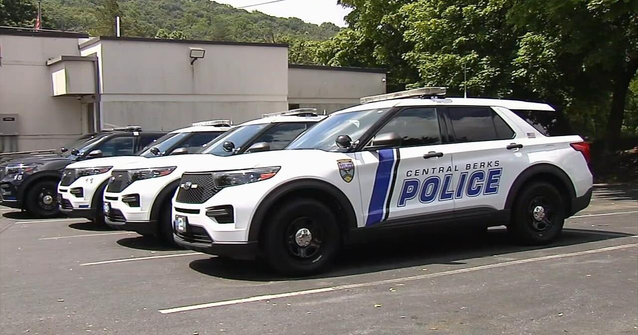 Police stepping up patrols following last weekend's large gathering at the Pagoda - Vimarsana News
