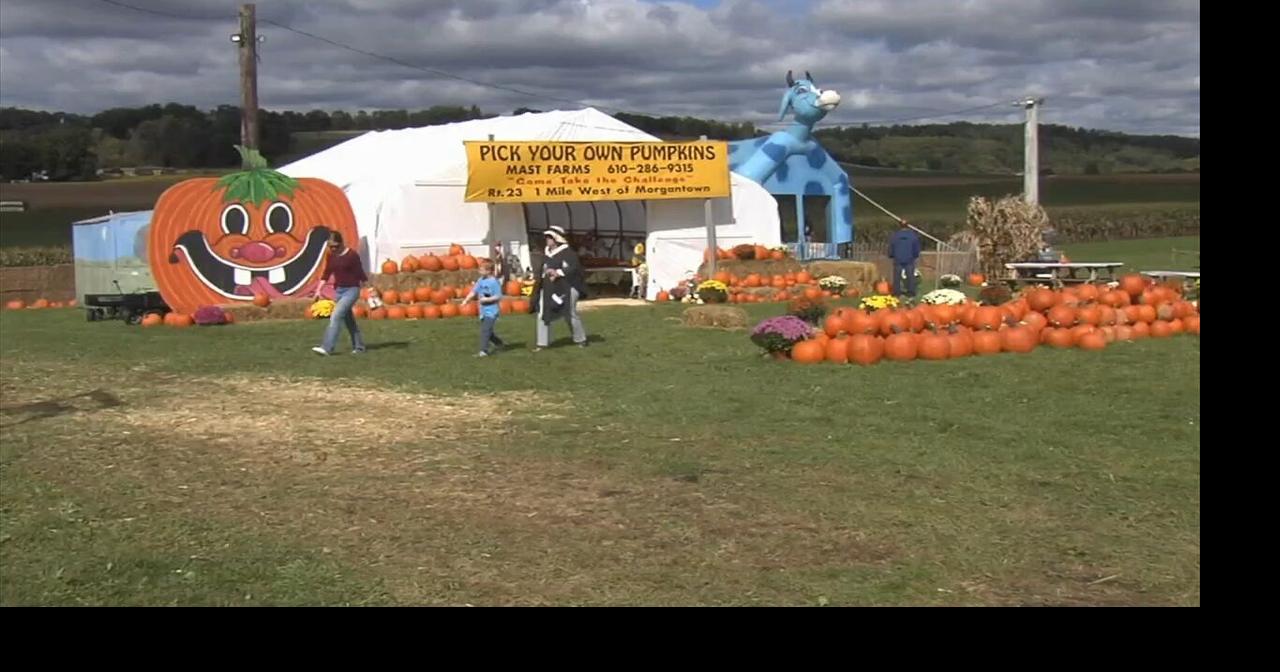 Families flock to fall fun at local orchards, corn mazes on the holiday ...