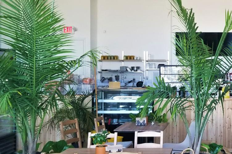 'Plants + Coffee' shop set to bloom in Easton Eat, Sip, Shop
