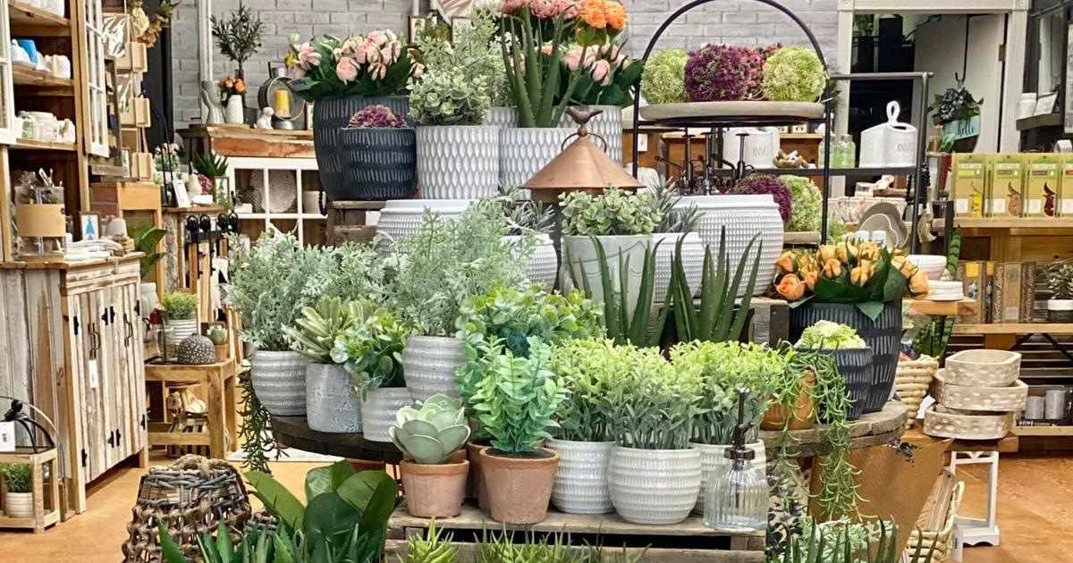 Popular home decor store planning second Lehigh Valley location | Eat, Sip, Shop Popular home decor store planning second Lehigh Valley location | Eat, Sip, Shop