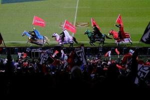 Crusaders retire horses after 30 years due to safety at new stadium