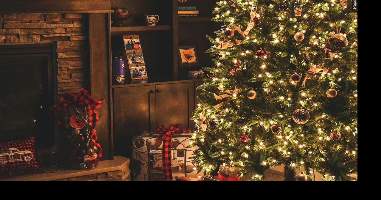 ‘The reindeer are healthy and ready to take flight’: Santa’s reindeer receive all-clear to embark on their Christmas journey across Pa.