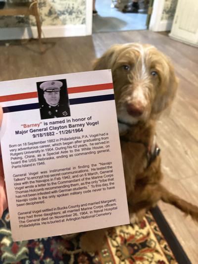 Tails of Valor Paws of Honor dogs at Spaatz museum in Boyertown
