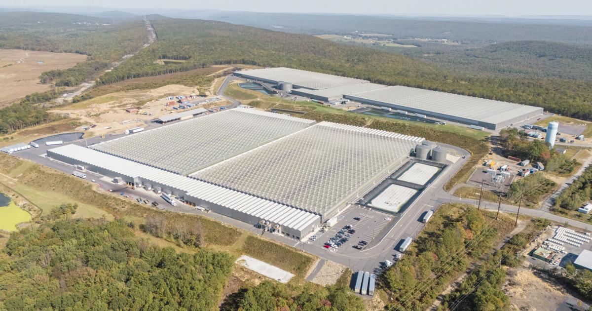 Little Leaf Farms Becomes the World's Largest CEA Leafy Greens Producer with Expansion of Pennsylvania Campus