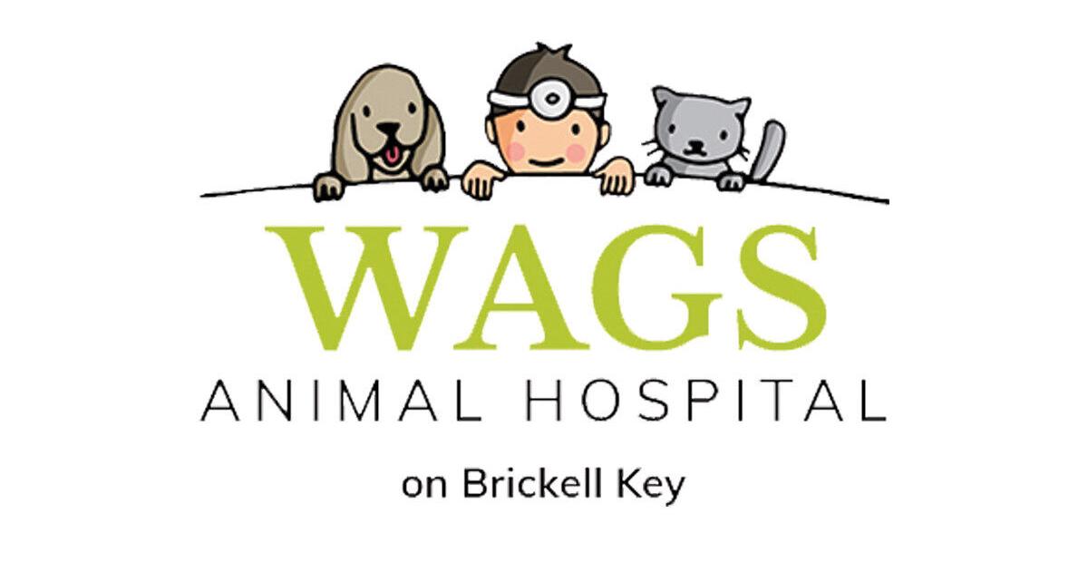 Wags Animal Hospital Issues Advisory on New World Screwworm Threat