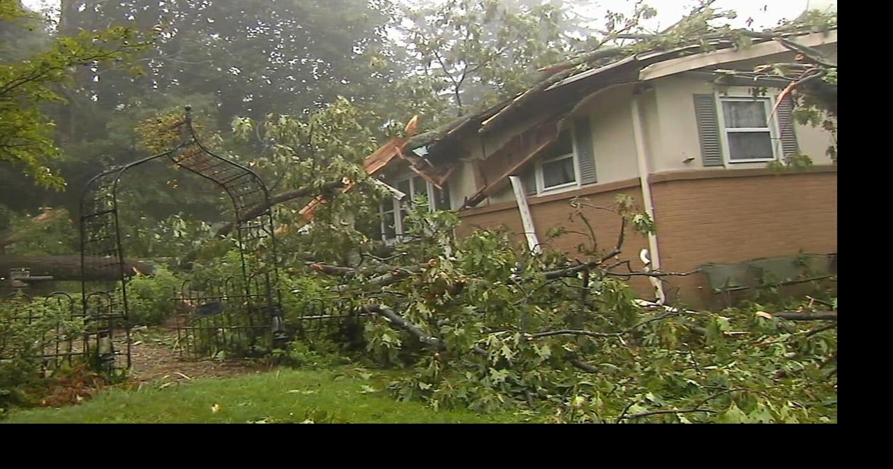 VIDEO: Tree falls on house in Allentown | Lehigh Valley Regional News ...