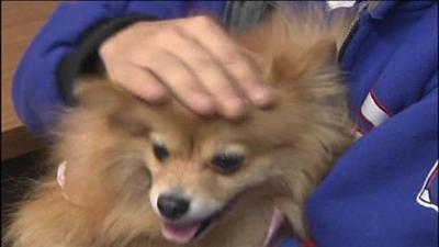 Food Bank For Pets Helps Those In Need Lehigh Valley Regional