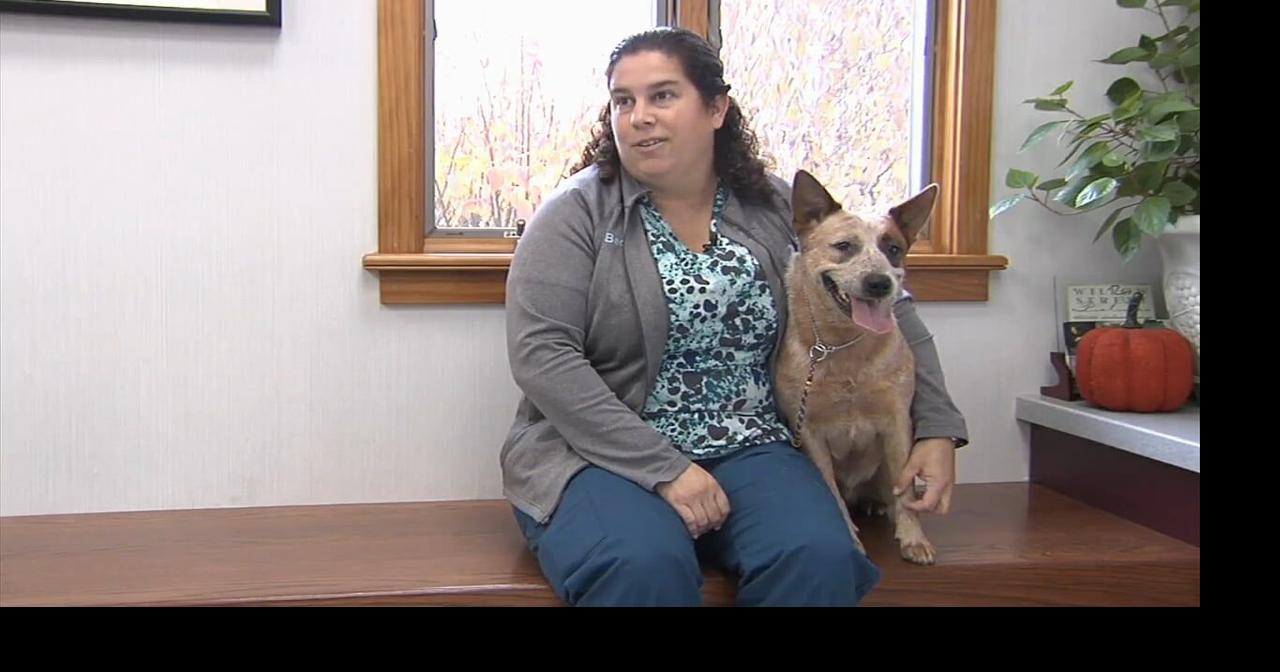 Local dog to compete in the National Dog Show this weekend Berks Regional News