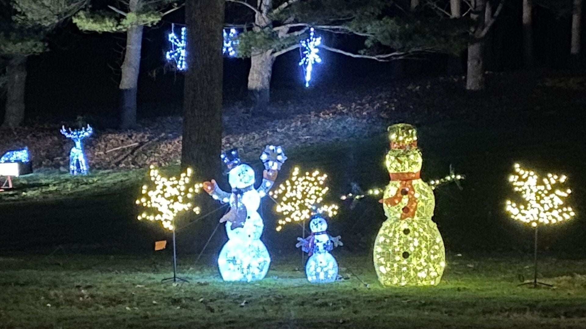 Gring's Mill Christmas display lights up another season | Berks ...