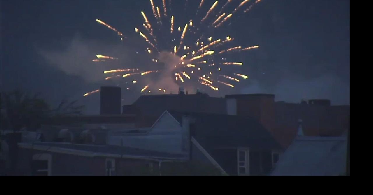 How you can help your pet's stress levels as fireworks season arrives