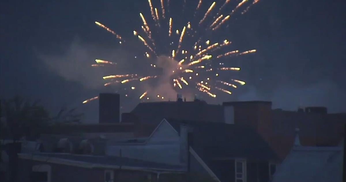 How you can help your pet's stress levels as fireworks season arrives