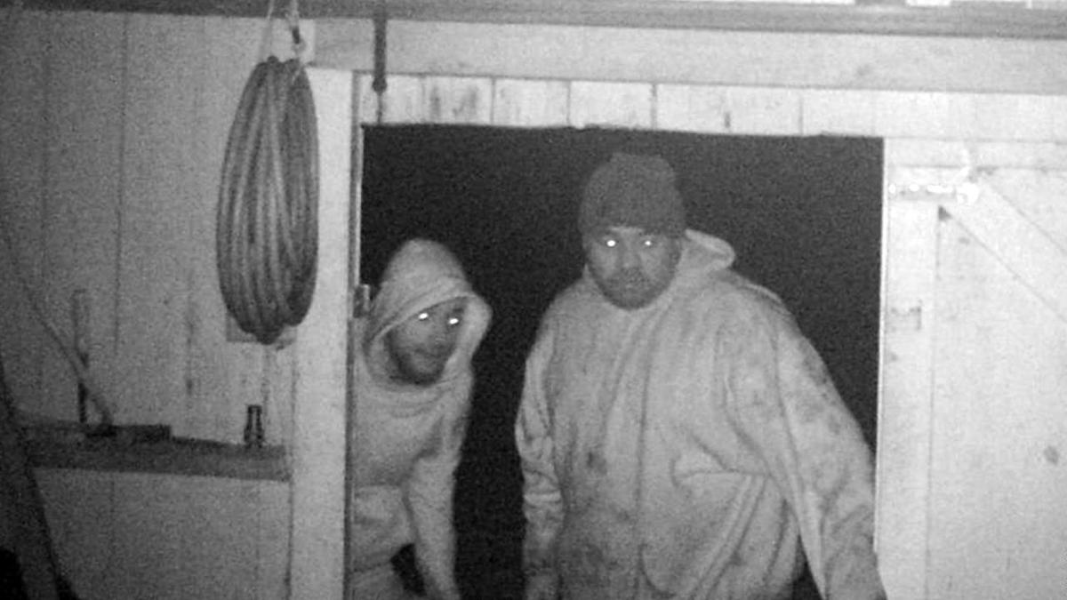Caught on camera Trio sought in burglary Berks Regional