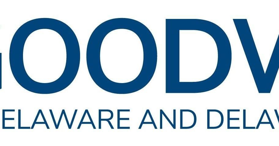 Pennsylvania Native Miss Earth USA Haley Grace Poe to Host Goodwill's Sustainable Re-Think Fashion Show - the Eco Edit
