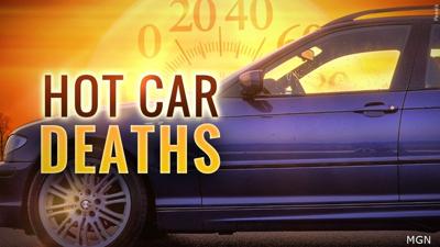 AAA warns children, pets in vehicles at risk during extreme heat ...