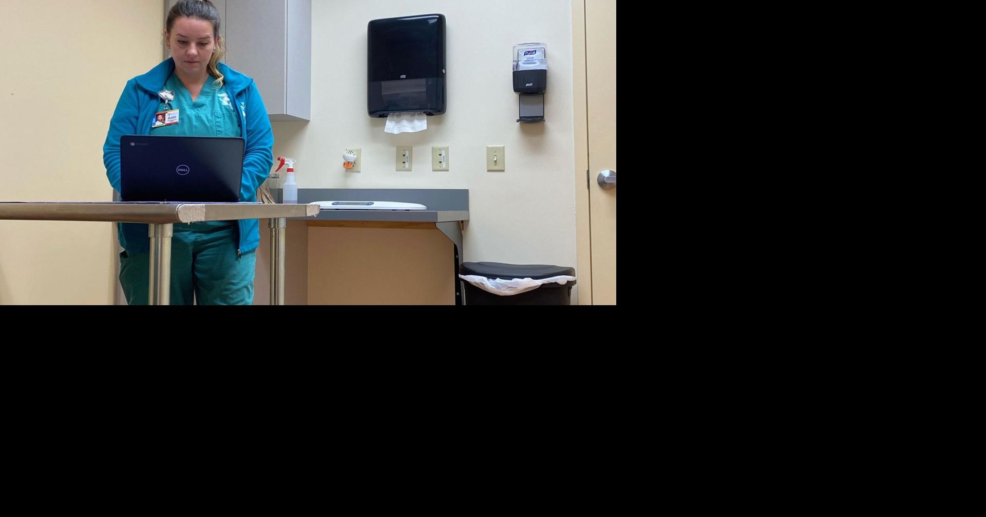 Vets help to understand recent respiratory issue in dogs | Berks Regional News