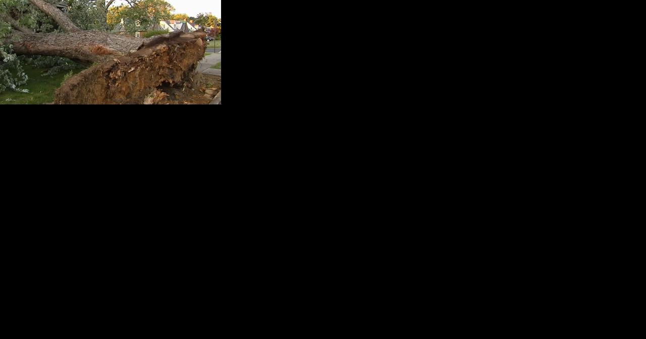 NWS confirms tornado touched down in Midway Manor section of Allentown - Vimarsana News