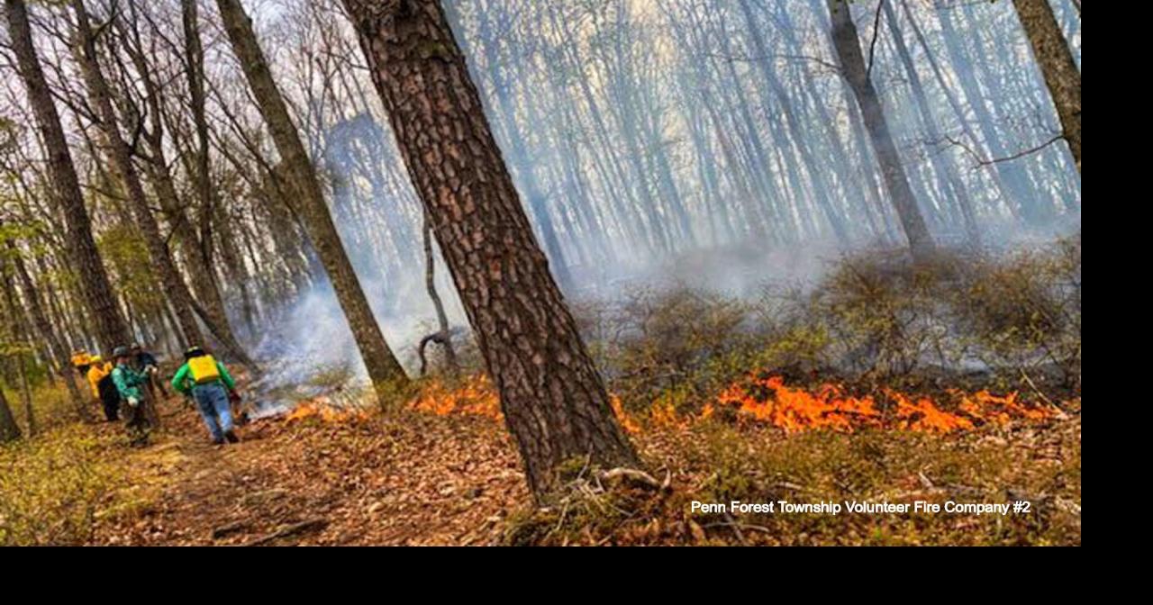 Brush fire burns Lehigh Gorge State Park in Carbon County | Poconos and ...