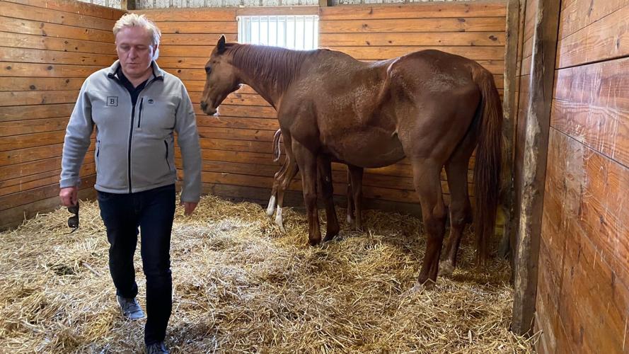 Schuylkill County horse to race in Kentucky Derby Pennsylvania News