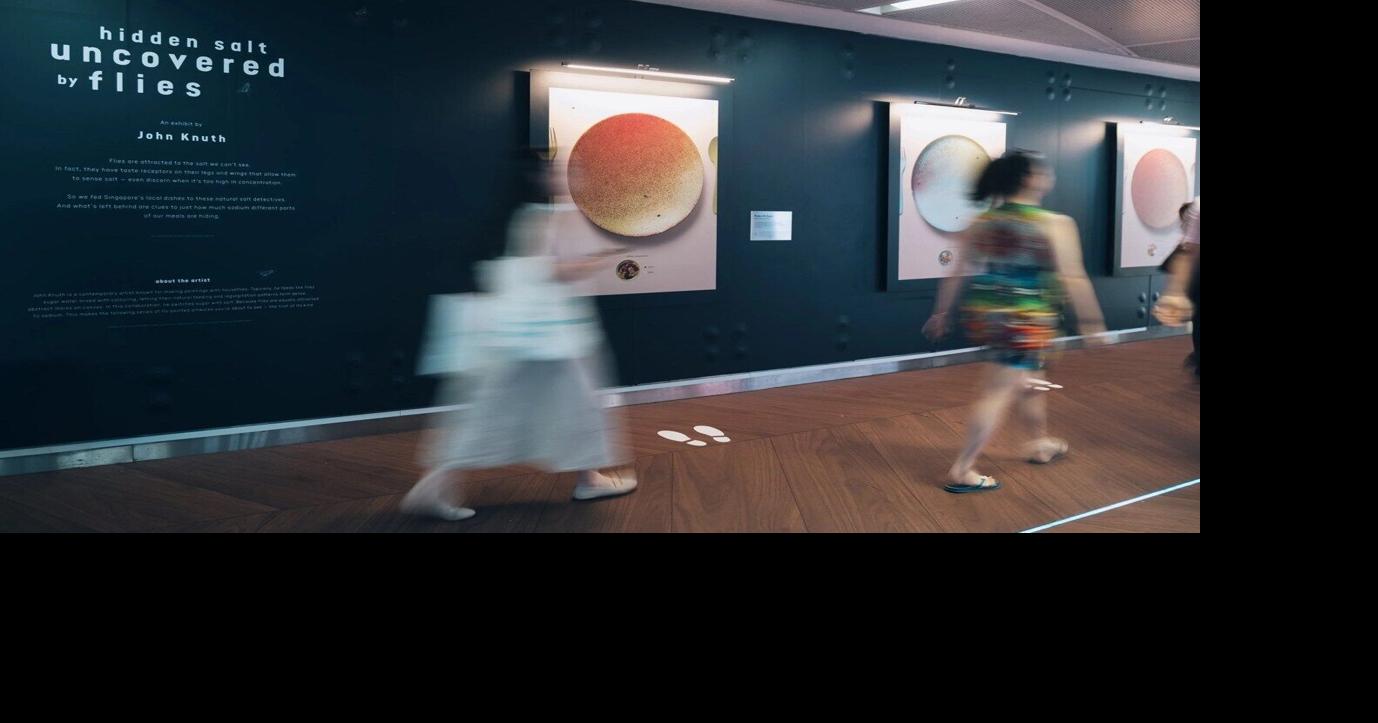 Artist Uses Flies to Reveal the Truth About Sodium