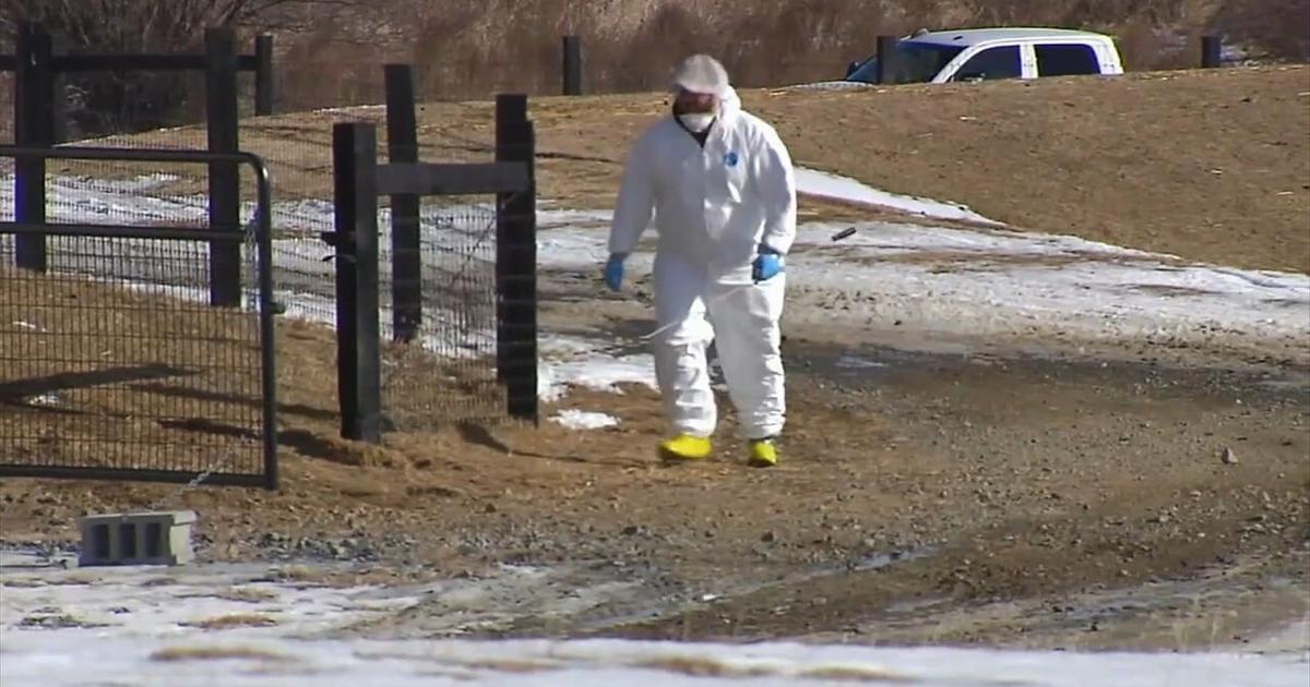 50K chickens being put to death because of bird flu in Lehigh County 69News WFMZTV 50K chickens being put to death because of bird flu in Lehigh County 69News WFMZTV