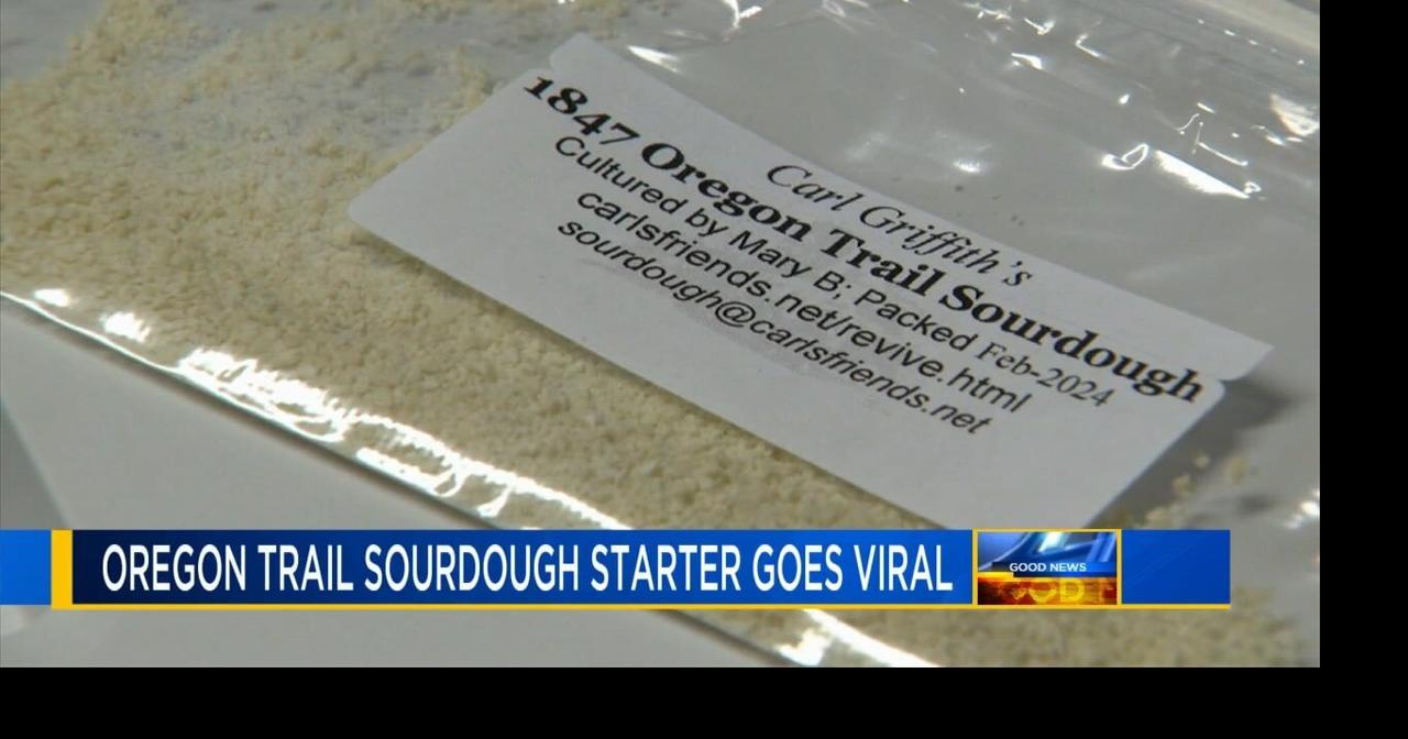 Sourdough society will send you free starter from 1800s | Good News | wfmz.com
