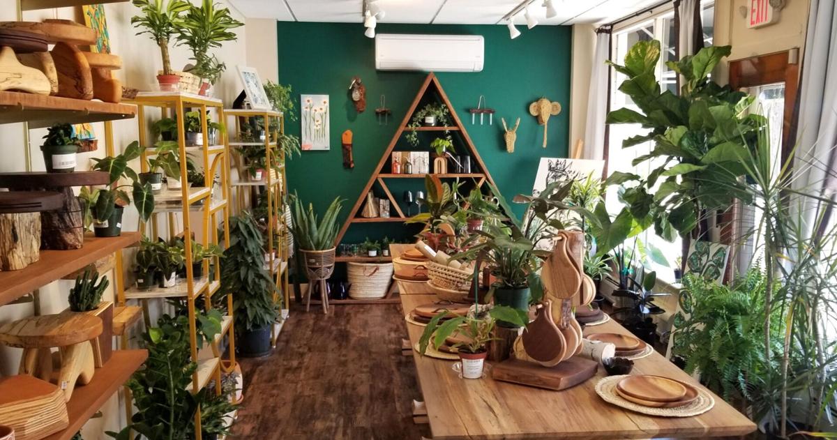Eat, Sip, Shop: Lehigh Valley’s new home decor and gift shop doubles as a plant lover’s paradise | Eat, Sip, Shop Eat, Sip, Shop: Lehigh Valley’s new home decor and gift shop doubles as a plant lover’s paradise | Eat, Sip, Shop