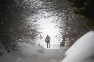 Serb-zero: the 'iceman' seeking solace in extreme cold