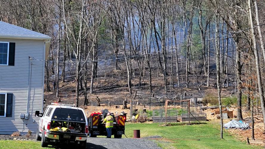 Jackson Twp. brush fire rekindles | Poconos and Coal Region | wfmz.com