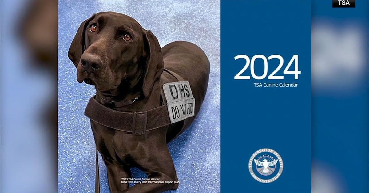 TSA releases 2024 canine calendar Good News TSA releases 2024 canine calendar Good News