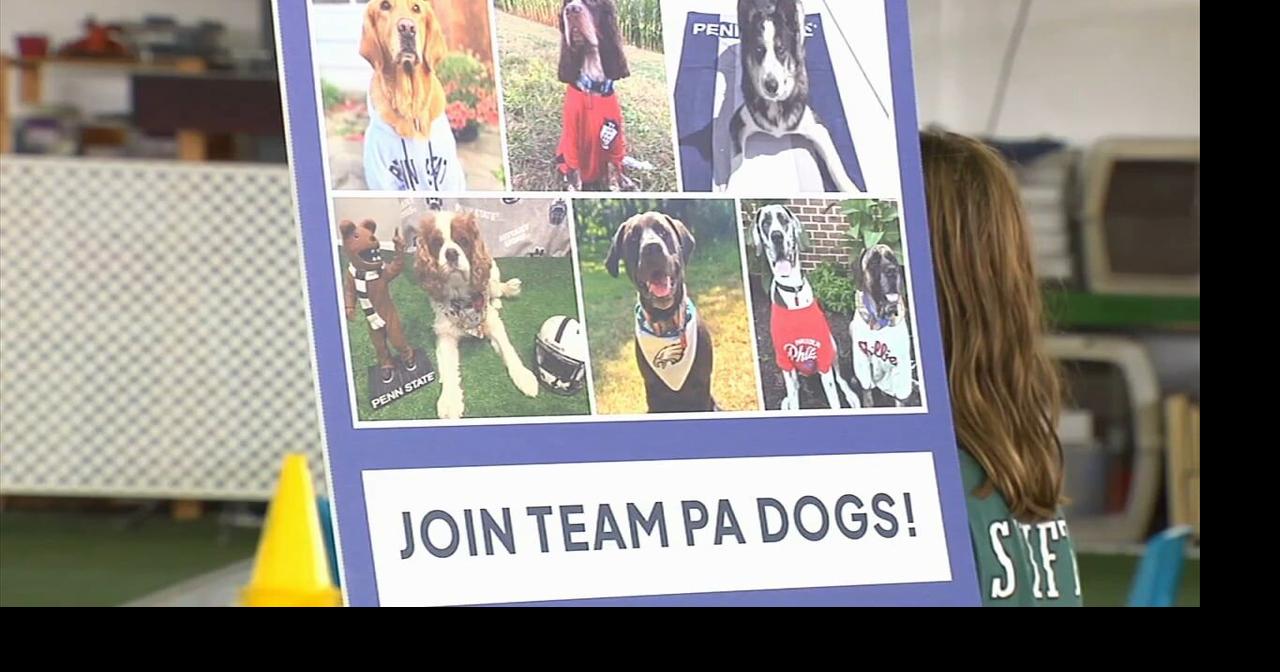 State official: Get dogs properly licensed | Berks Regional News | wfmz.com