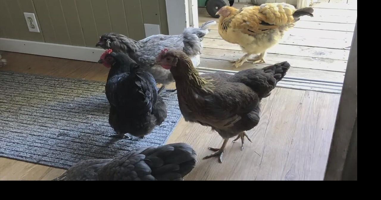 Easton City Council to hear from residents who want city to amend