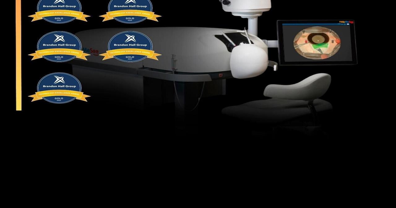 HelpMeSee Wins Gold in Brandon Hall Group's Excellence in Technology Awards