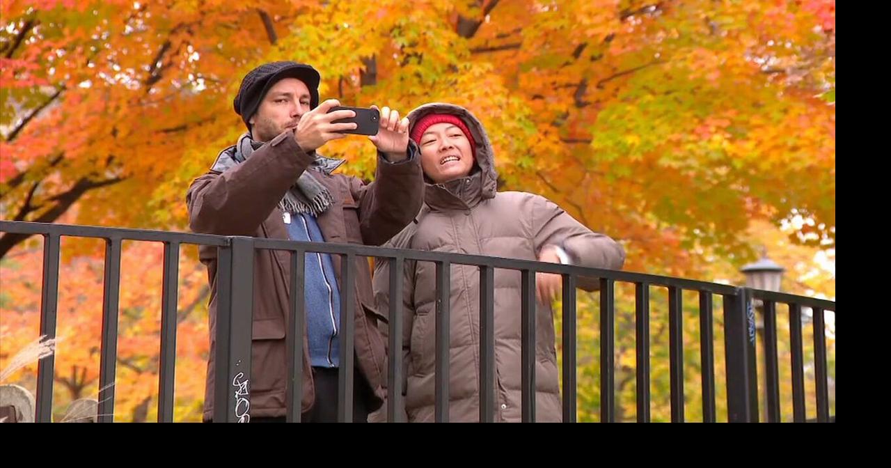Feeling nostalgic this fall? Experts say that's good for you — here's how to make the most of it