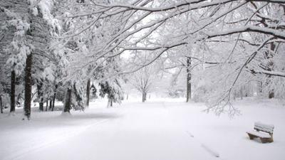 Montgomery Co. issues “Code Blue” Cold Weather Declaration ...