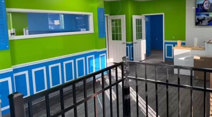 New Allentown facility to offer interactive dog daycare, boarding and