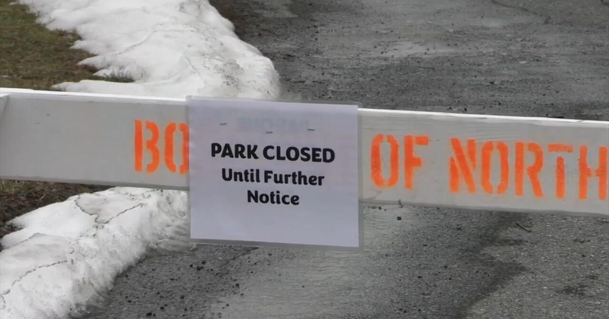 Reports of Dead Geese Lead to Park Closure