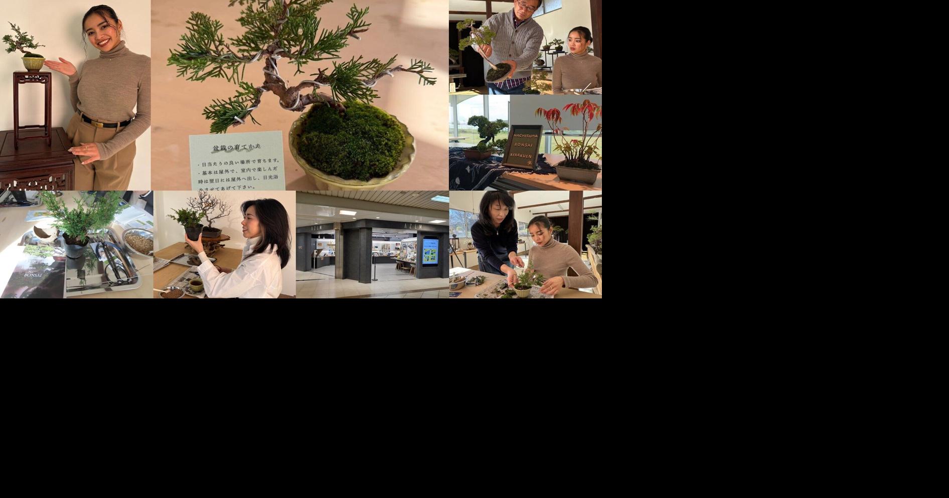 Living Japanese Art Near Tokyo: Hands-On Bonsai Workshop Brings Kawaguchi's 400-Year Craft to Ikebukuro Station