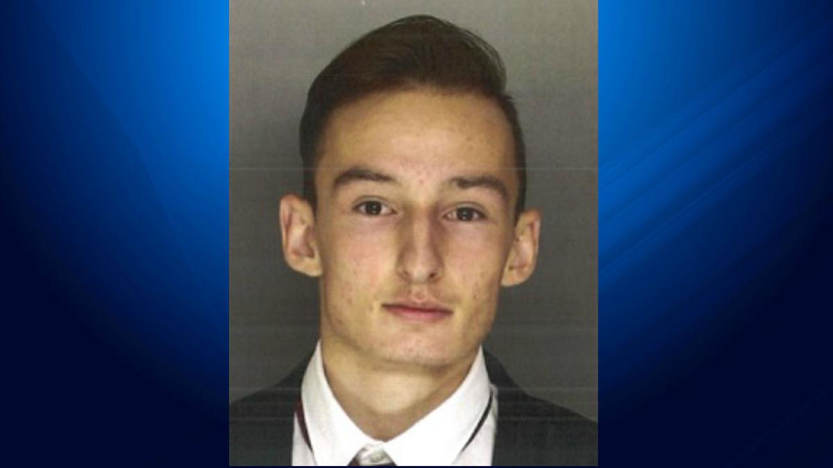 Harleysville man charged with homicide by vehicle News