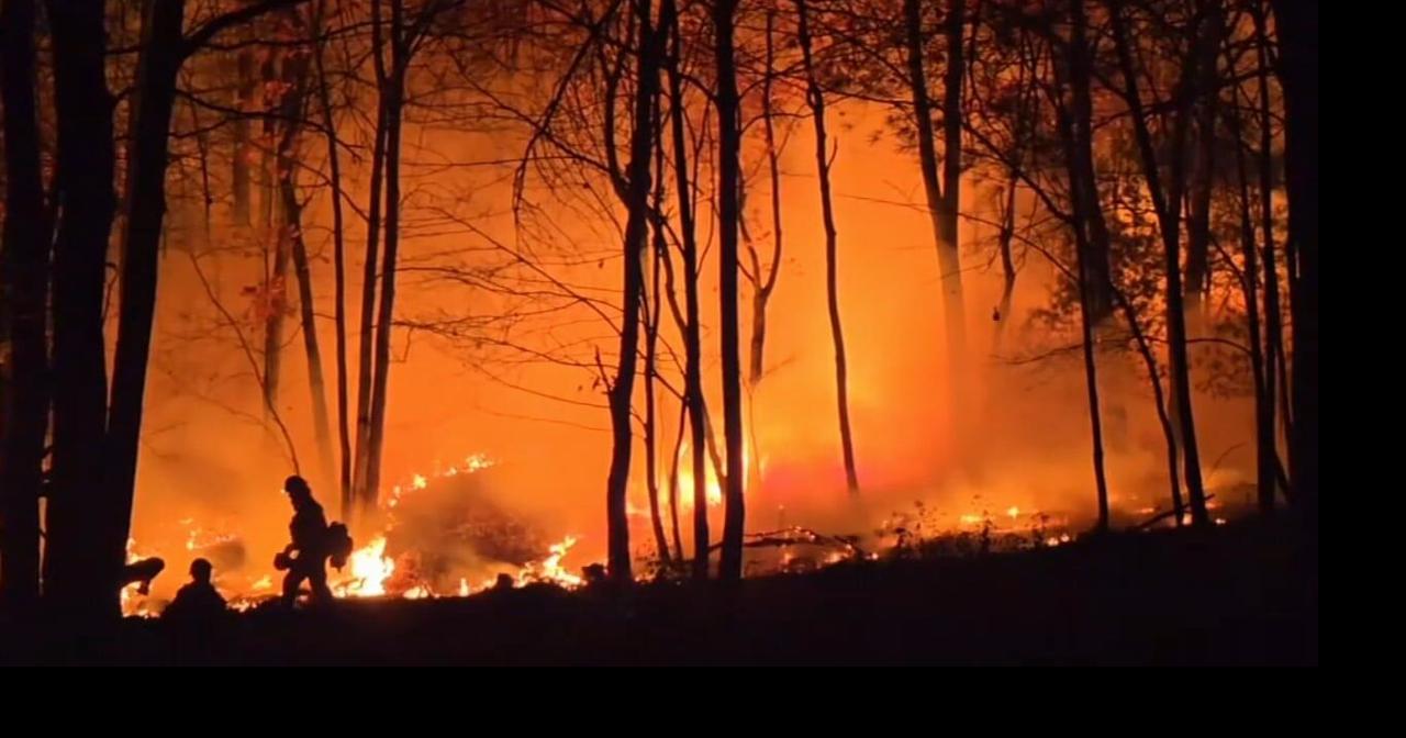 Brush fire burns over two acres on Mt. Penn | Berks Regional News ...