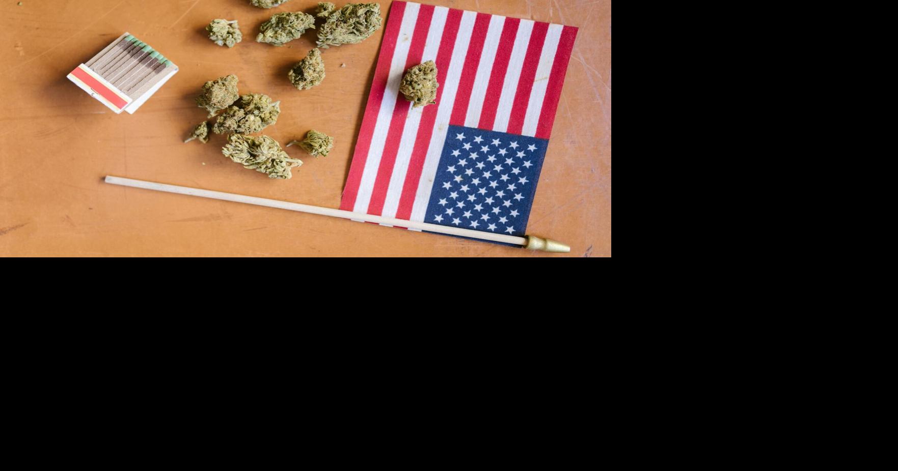 Elevate Holistics Rides the Wave of U.S. Acceptance of Adult-Use Cannabis -- CEO Aspen Noonan Spotlights New Opportunities for Patient Access & Industry Growth