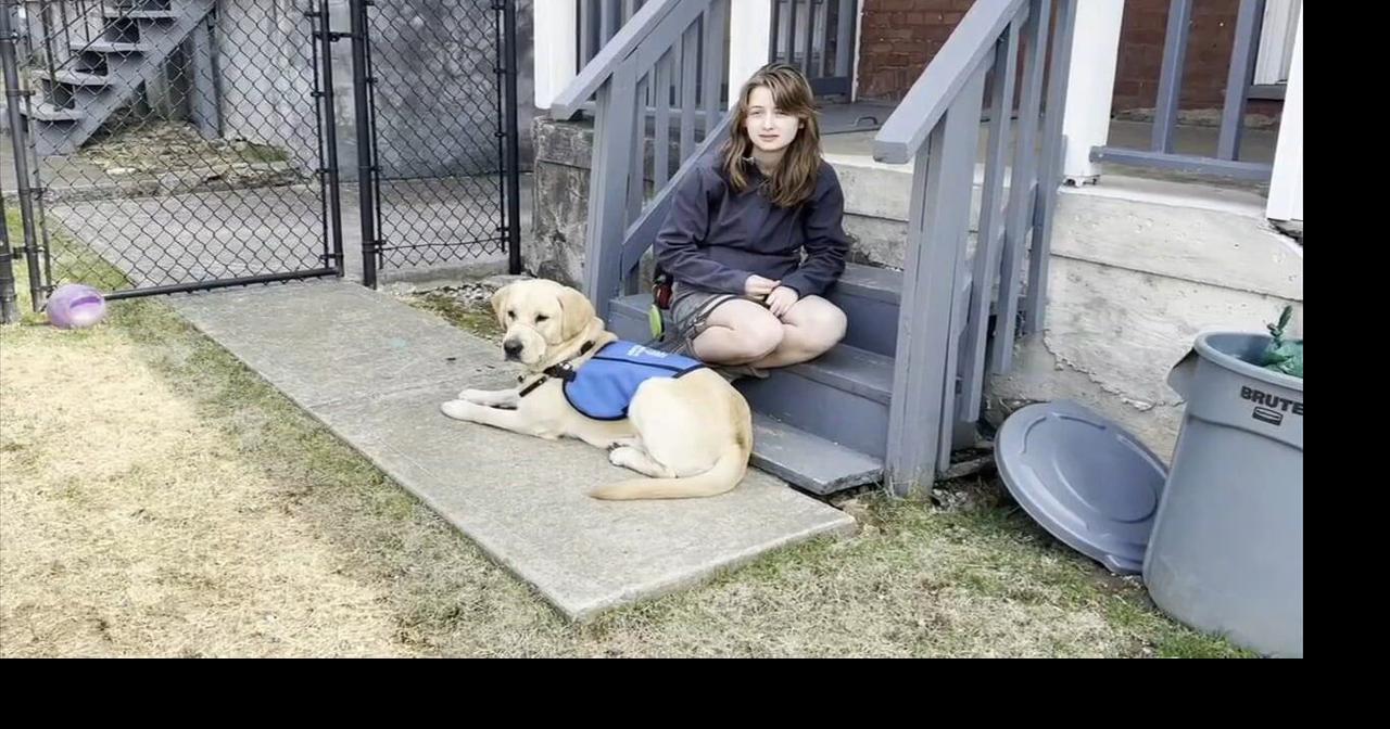 Lafayette College, a couple of “good dogs” get education in service | Northampton County