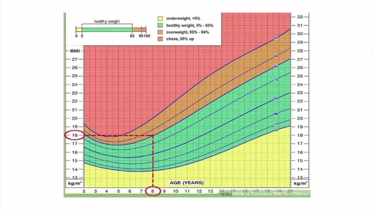 Child bmi deals