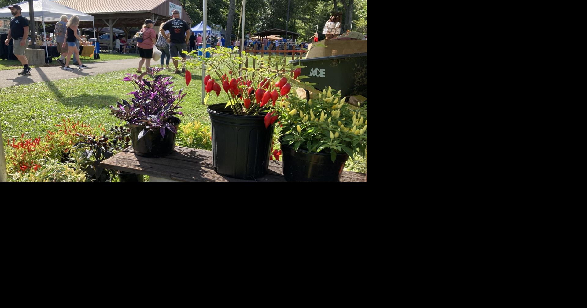 Chile Pepper Food Festival turns up the heat in Berks Berks Regional